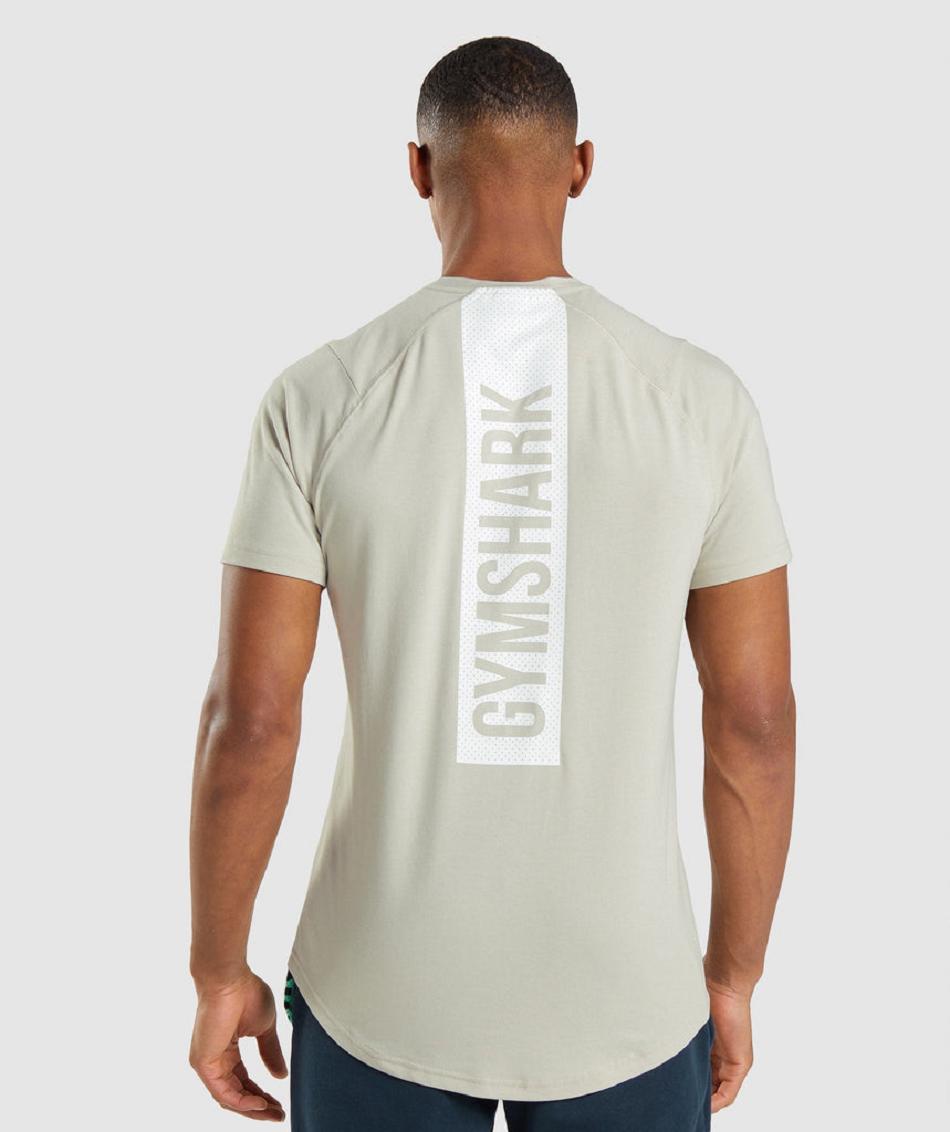 T Shirts Gymshark Bold Hombre Gris | CO 3392MQZ